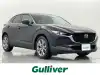 ＣＸ－３０