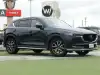 ＣＸ－５