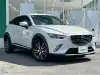 ＣＸ－３