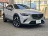 ＣＸ－３