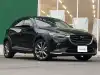 ＣＸ－３