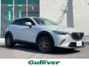 ＣＸ－３