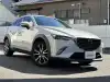 ＣＸ－３