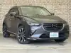 ＣＸ－３