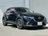 ＣＸ－３