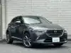 ＣＸ－３