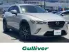 ＣＸ－３