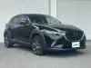 ＣＸ－３