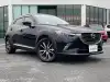 ＣＸ－３