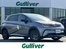 ＢＹＤドルフィン