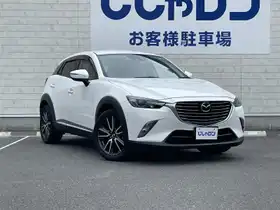 ＣＸ－３