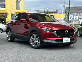 ＣＸ－３０