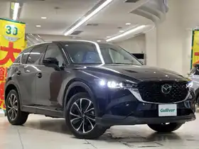 ＣＸ－５