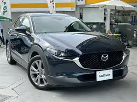 ＣＸ－３０