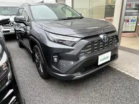 ＲＡＶ４