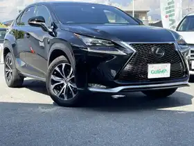 ＮＸ