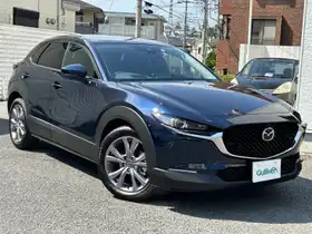 ＣＸ－３０