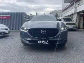 ＣＸ－３０