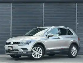 フォルクスワーゲンのゴールド・シルバー系（金・銀）の中古車を