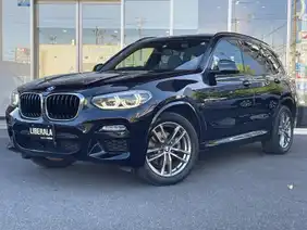 ＢＭＷ,フォルクスワーゲンとＸ３,ニュービートルカブリオレの中古車を検索｜【中古車のガリバー】（2ページ）