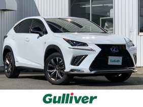 最新エルメス LEXUS NX200T NX 300h FSPORT 純正フロアマット フロア