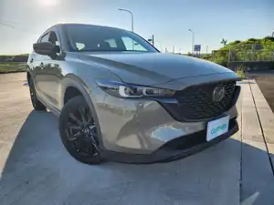 ＣＸ－５