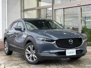 ＣＸ－３０