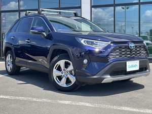 ＲＡＶ４