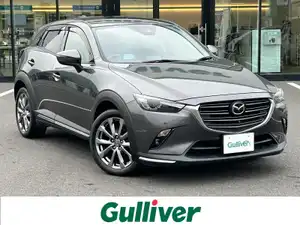 ＣＸ－３