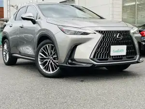 ＮＸ