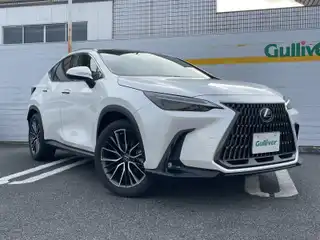 ＮＸ 250 バージョンL