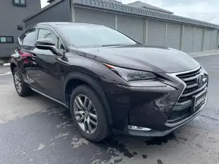 ＮＸ 300h Iパッケージ