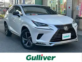 ＮＸ 300h スパイス&シック