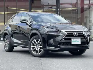 ＮＸ 300h Iパッケージ