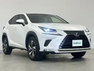 ＮＸ 300 バージョンL