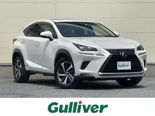 ＮＸ 300h Iパッケージ
