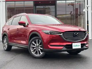 ＣＸ－８