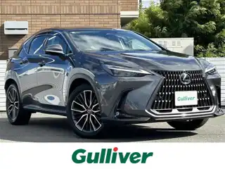 ＮＸ 250 バージョンL