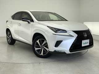 ＮＸ 300 ブラックシークエンス