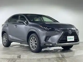 ＮＸ 300 Iパッケージ