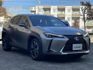 ＵＸ 250h バージョンC