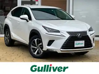 ＮＸ 300h Iパッケージ