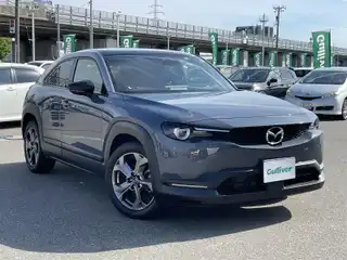 ＭＸ－３０