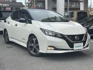 リーフ G