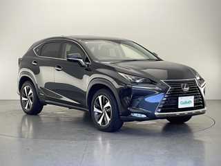 ＮＸ 300h バージョンL