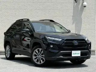 ＲＡＶ４ HV アドベンチャー オフロードPKGⅡ