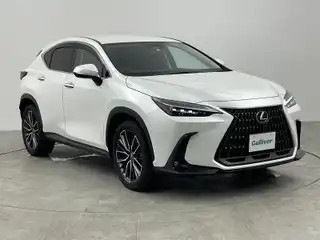 ＮＸ 450h+ バージョンL