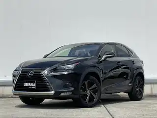 ＮＸ 300h バージョンL