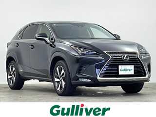 ＮＸ 300h Iパッケージ