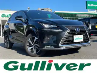 ＮＸ 300h スパイス&シック
